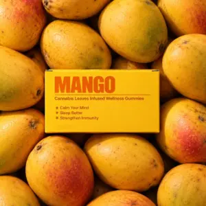 Mango Relax & Reset Gummies 5% – Pack of 5 Gummies