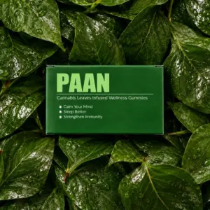 Paan Relax & Reset Gummies 5% – Pack of 5 Gummies